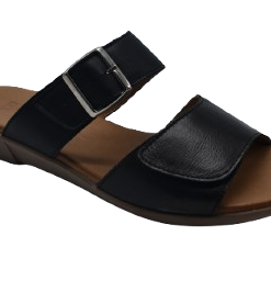Asha Shoe Black