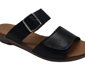 Asha Shoe Black